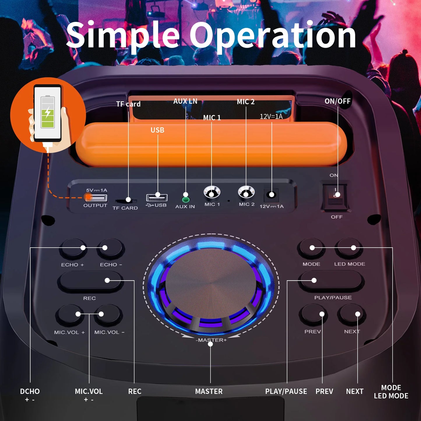 Karaoke Machine with 2 Wireless Microphones, Portable Bluetooth Speaker for Adults & Kids, Big Party PA System with Disco Lights